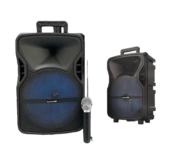 Parlante 12 Pulgadas Con Bluetooth Luz Led Aiwa Aaa Iw-1221